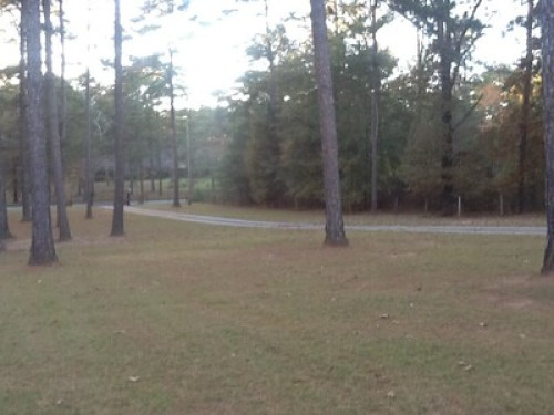 Country living in the city