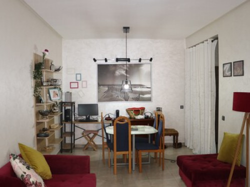One Entire Beautiful Apartment 