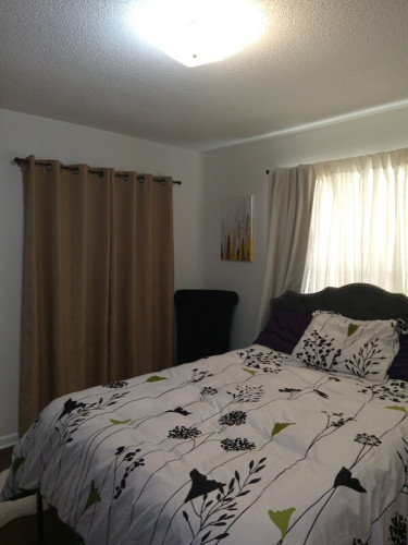 Private Room & Bath - Gallery - 6