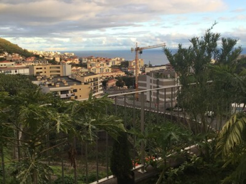 Bright house  - Gallery -  5