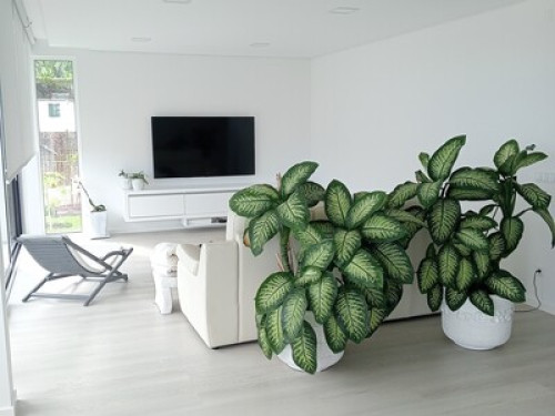 Bright house - Gallery - 21