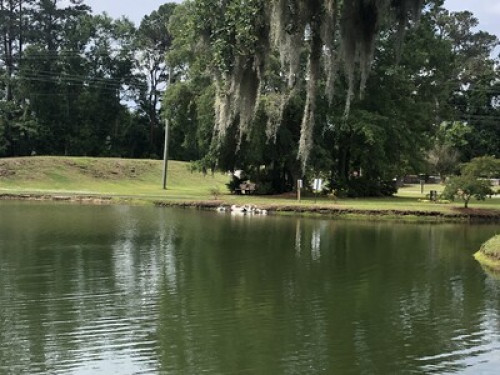 6 miles to downtown or beach!