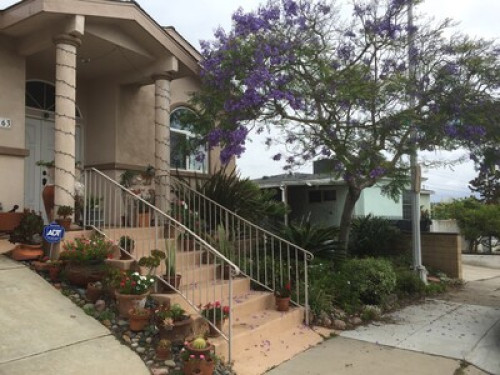 Beautiful San Diego - Gallery - 16