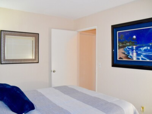 Coziest Stay in Heart of San Diego  - Gallery -  5