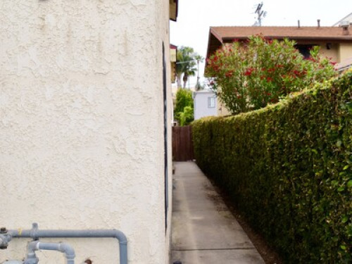 Coziest Stay in Heart of San Diego - Gallery - 7