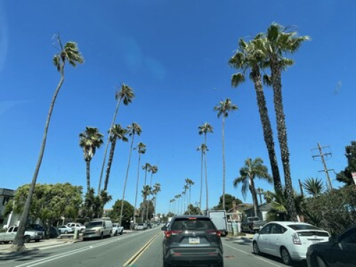 Safe & Beautiful near SDSU - Gallery - 102