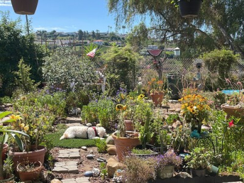 Safe & Beautiful near SDSU - Gallery - 24
