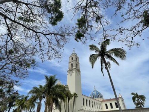 Safe & Beautiful near SDSU - Gallery - 14