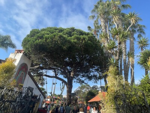 Safe & Beautiful near SDSU - Gallery - 15