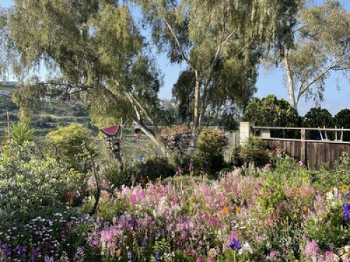 Safe & Beautiful near SDSU - Gallery - 46