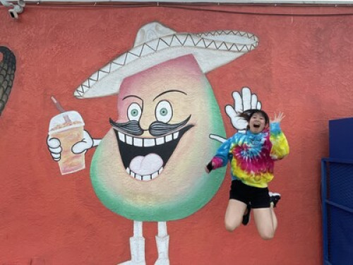Safe & Beautiful near SDSU - Gallery - 41