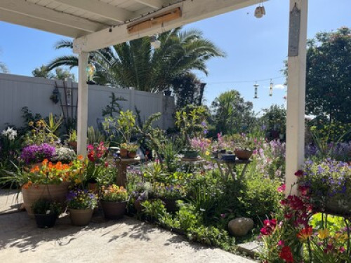 Safe & Beautiful near SDSU - Gallery - 138