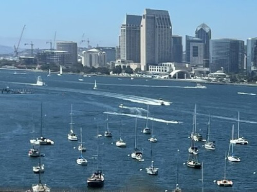 Safe & Beautiful near SDSU - Gallery - 104