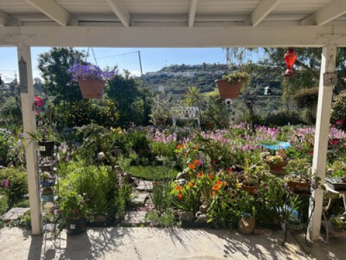 Safe & Beautiful near SDSU - Gallery - 53