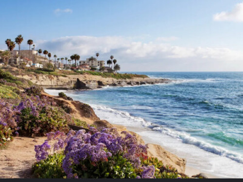 Rooms for rent in La Jolla