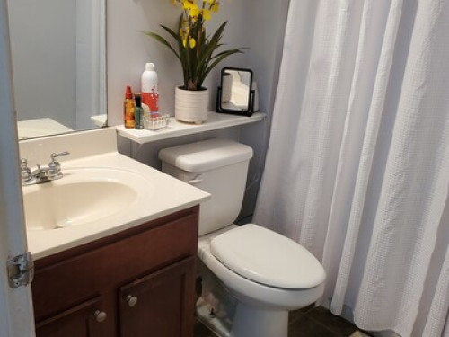 Monday to Friday Rental - Gallery - 8