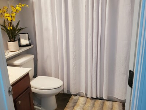 Monday to Friday Rental - Gallery - 7
