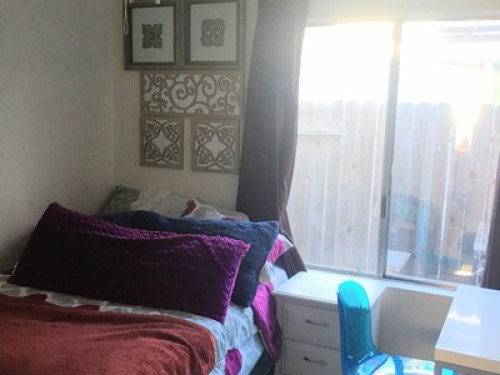 Californian Dreamin - Gallery - 15