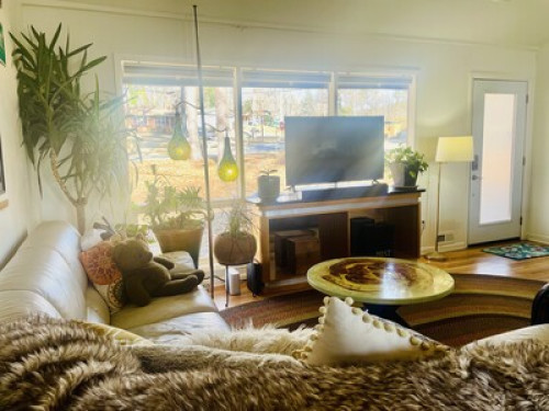 A Westend Beatnik's Bungalow! - Gallery - 7