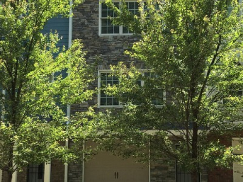 Tranquility Hospitality House - Gallery - 11