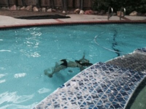 Fun Family that loves the beach