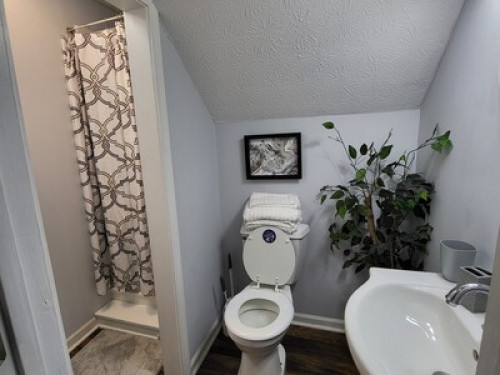 Adorable spacious Basement apt.