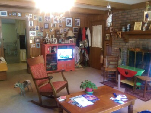 Tranquil and Charming  - Gallery -  4