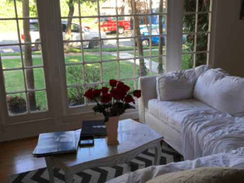 Sunny cozy apartment.
