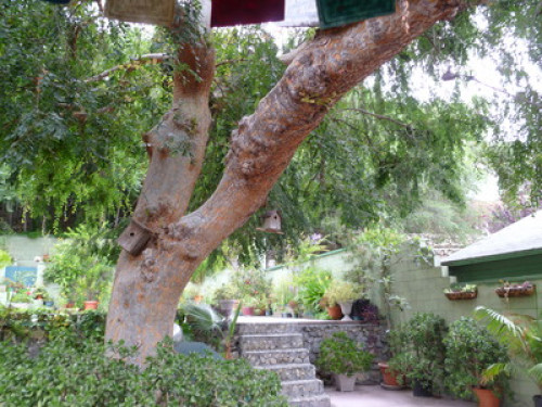 Friendly laid-back family in L.A. 