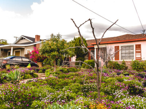 Couple loves cooking and gardening