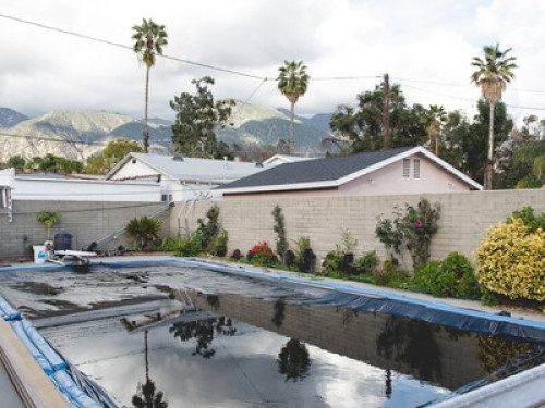 Couple loves cooking and gardening