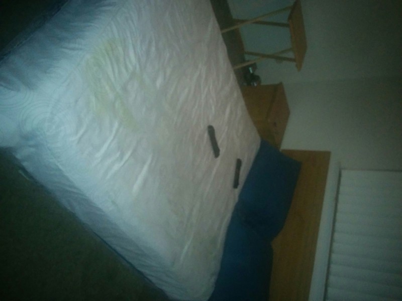 1 Full Bedroom(Full Room) - 1