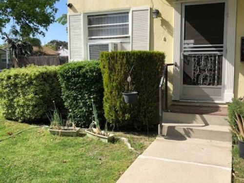 a-friendly-clean-spacious-home-los-angeles-2503263420240814053827PM