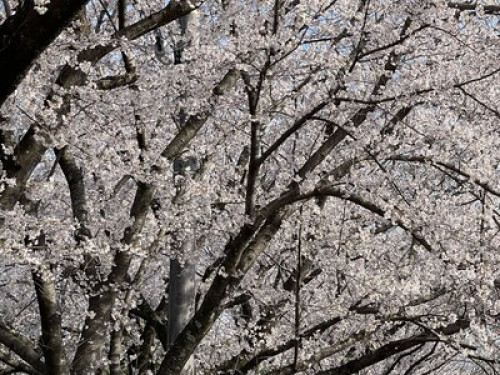 Find Peace in You - Gallery - 20