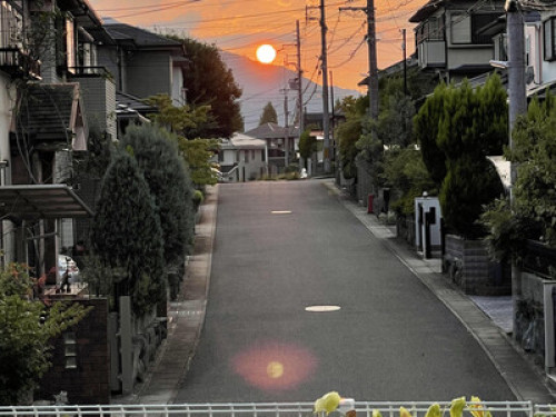 Find Peace in You - Gallery - 28