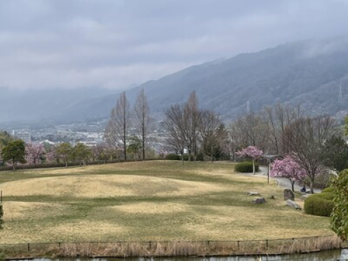 Find Peace in You - Gallery - 40