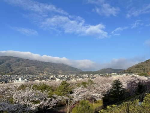 Find Peace in You  - Gallery -  5