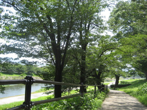 SlowLifeKyoto