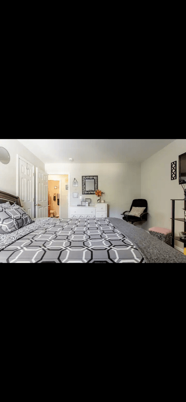 Zebra Room(Full Room) - 1