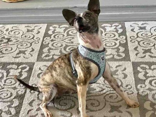 Comfy Queen Bed in Lovely Room