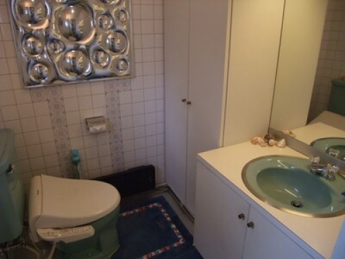 Near SHIBUYA Quite Residential Area - Gallery - 27