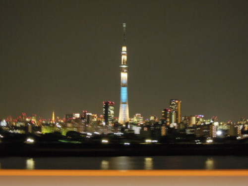 Near SHIBUYA Quite Residential Area - Gallery - 44
