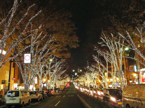 Near SHIBUYA Quite Residential Area - Gallery - 53