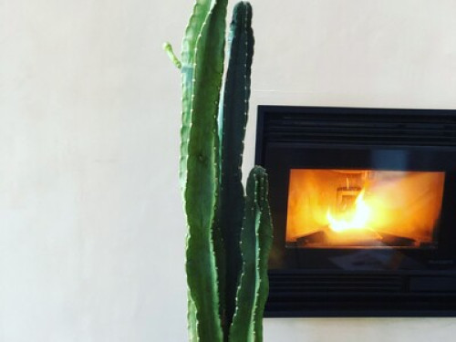 English and French immersion!