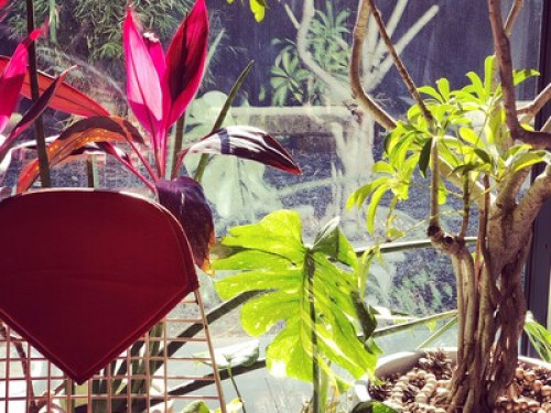 English and French immersion!