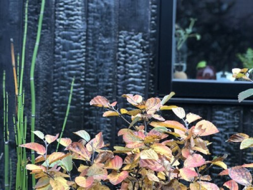 English and French immersion!