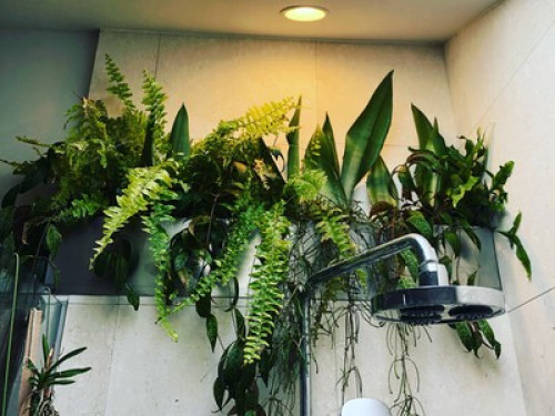 English and French immersion!