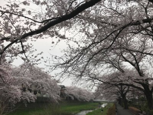 Yuki‘s House - Gallery - 12