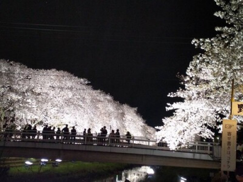 Yuki‘s House - Gallery - 13