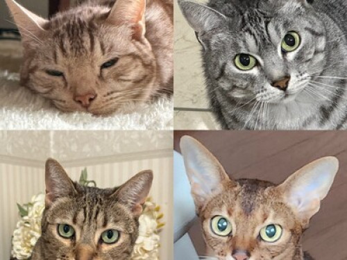 Let me help make your trip fun!